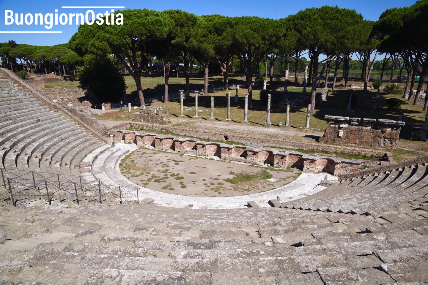 Il mare di Ostia  in salute